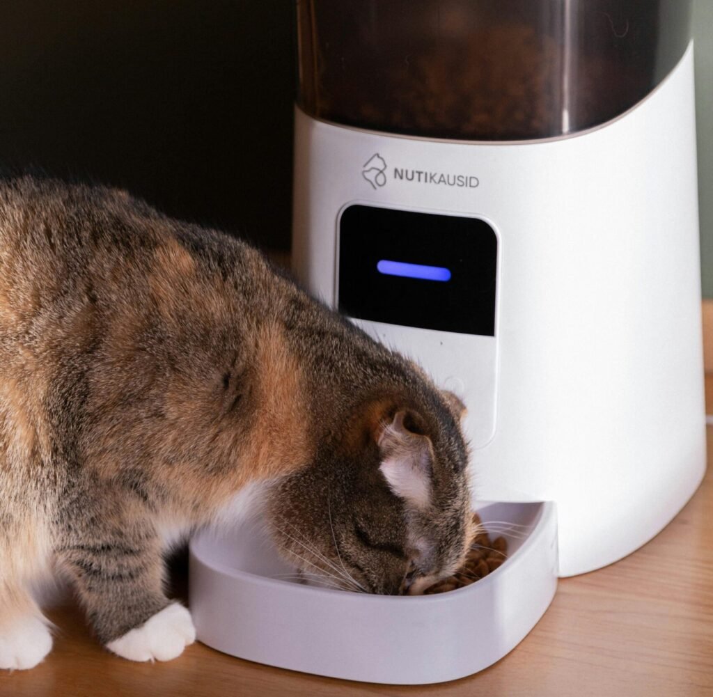A domestic cat eating from an automatic pet feeder indoors. Perfect for pet lifestyle concepts.